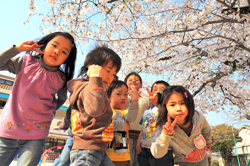 幼稚園、保育園での導入例